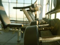 Fitness Development