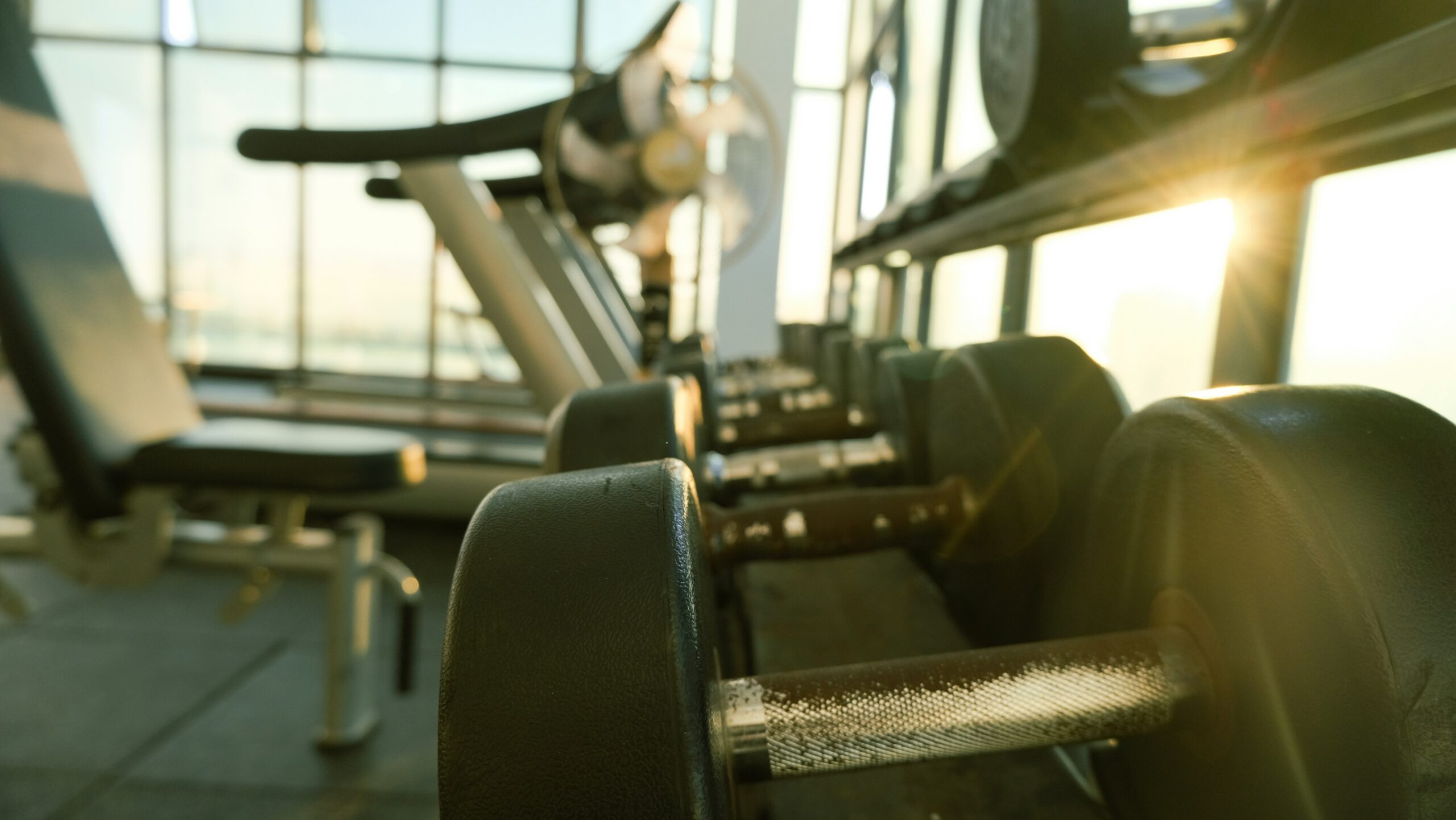 Fitness Development